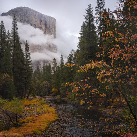 El Capitan and fall color, Yosemite National Park