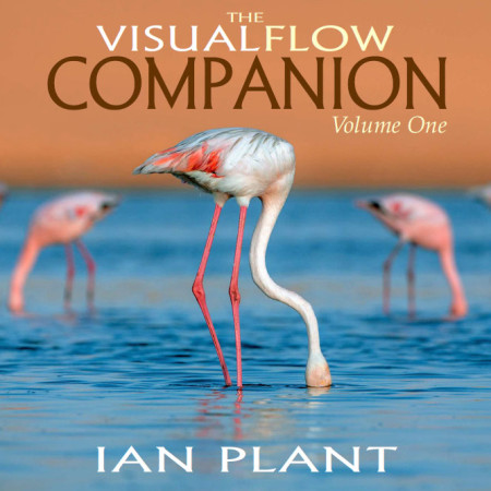 Visual Flow: Mastering the Art of Composition