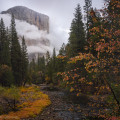 El Capitan and fall color, Yosemite National Park